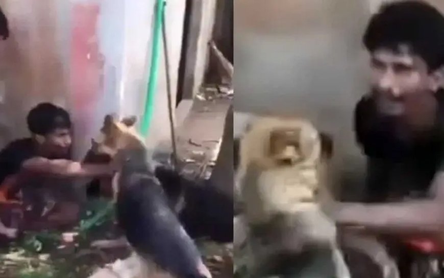 কুকুর লেলিয়ে যুবকের ওপর নির্যাতন, আটক ৩