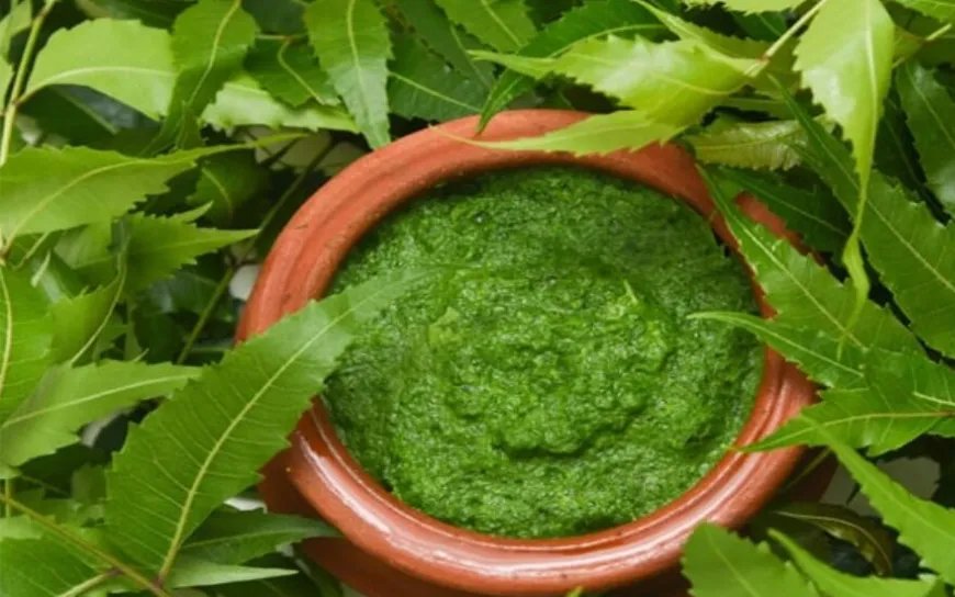 ব্রণ ও ত্বকের সমস্যায় কার্যকর নিম পাতা ব্যবহারের সহজ উপায়